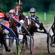 Pikeur moet zijn paard voortaan aansporen zonder zweep