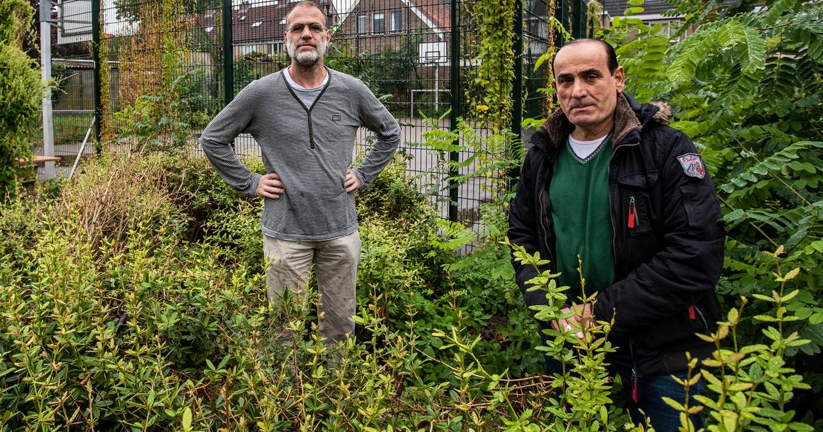 Buren toveren trieste speelplek om tot multifunctioneel plein voor jong en oud