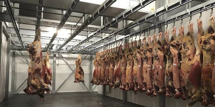 De nieuwe slachterij in Leeuwarden.
