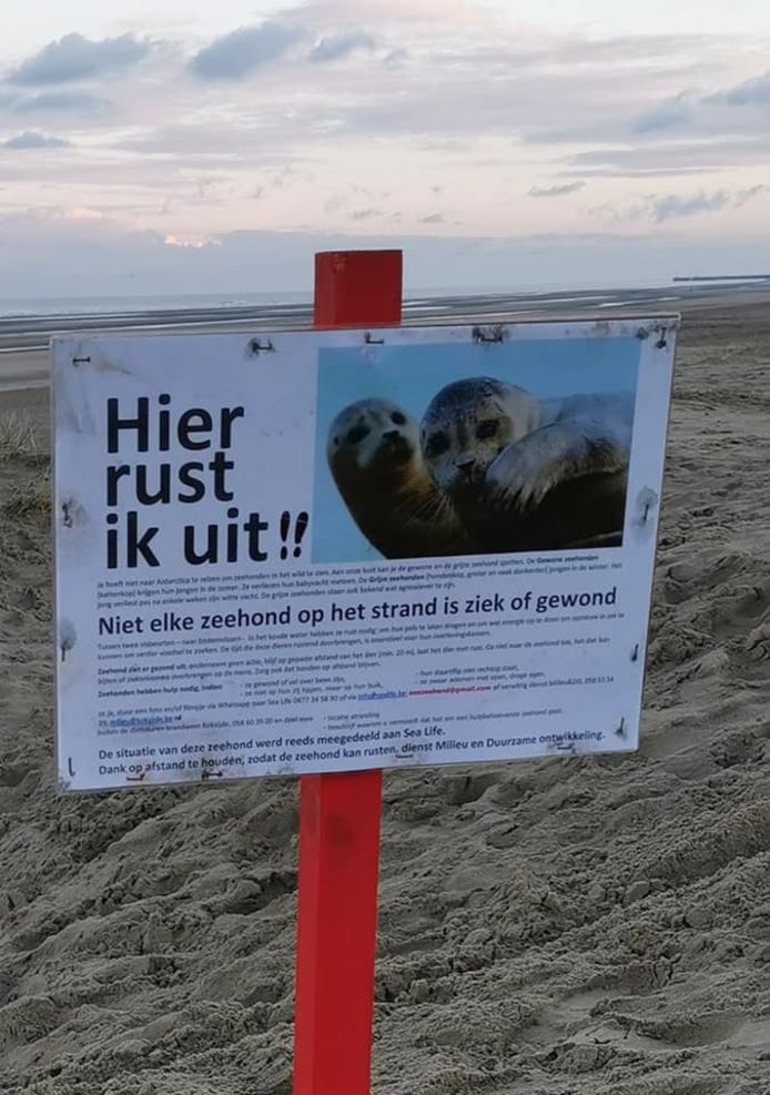 Natuurgids Luc David sloeg een bordje in de duinen om wandelaars op afstand te houden.