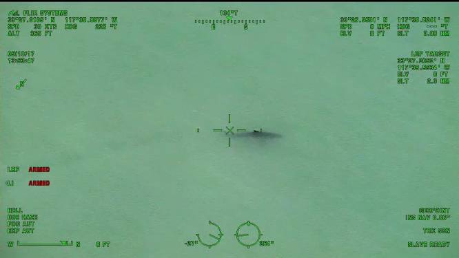 "Aandacht in het water... Jullie paddleboarden naast 15 witte haaien"