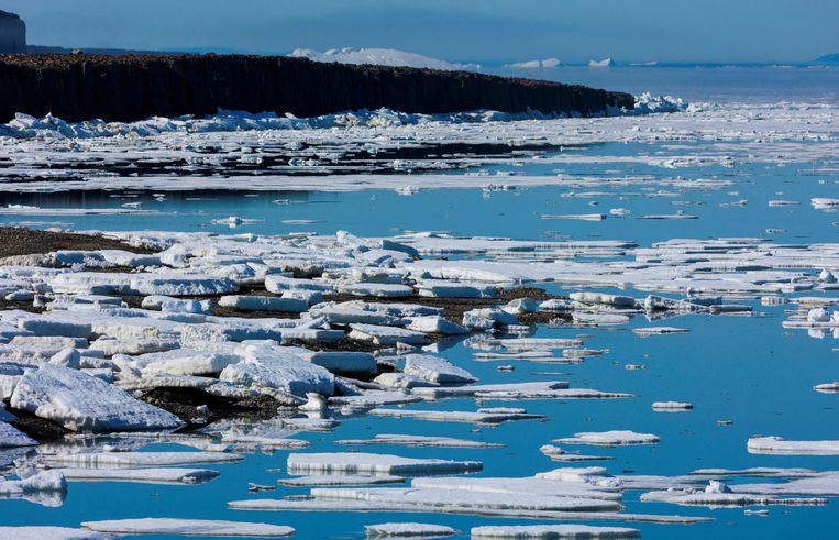 IJsschotsen in de Arctische Oceaan bij Groenland. Beeld AFP