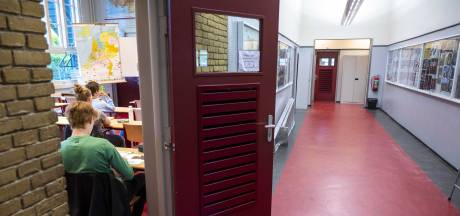 Uitspraak: Hoogbegaafdheid is geen handicap op school, wél extra inzet kabinet nodig 