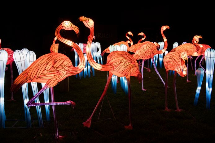Het China Light Festival in Ouwehands Dierenpark in 2019.