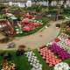 Kleurenpracht in Gentse binnenstad met comeback Floraliën