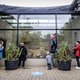 Opinie: We kunnen niet langer de ogen sluiten voor het leed in  dierentuinen