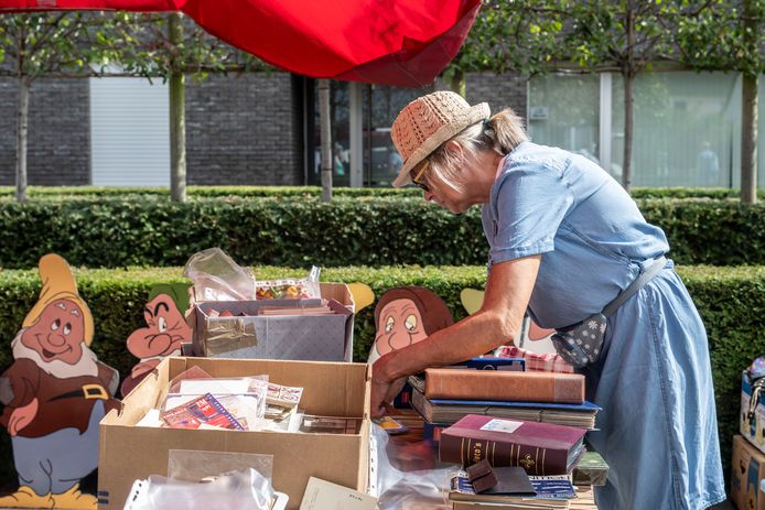 Rommelmarkt Langemark: “Enkele straten Hooyaardwijk verkeersvrij ...