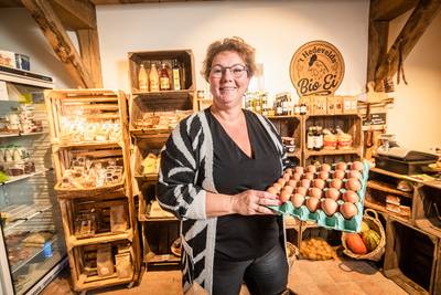 Waarom er in Hertme al een jaar geen kip meer buiten loopt