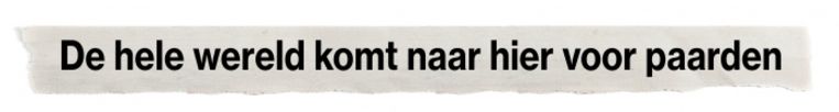 null Beeld 