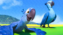 Blu uit de Rio-films.
