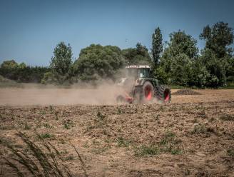 Klimaatverandering zal weinig impact hebben op wat op ons bord komt: aanhoudende droogte dwingt onze landbouwers niet massaal quinoa te telen