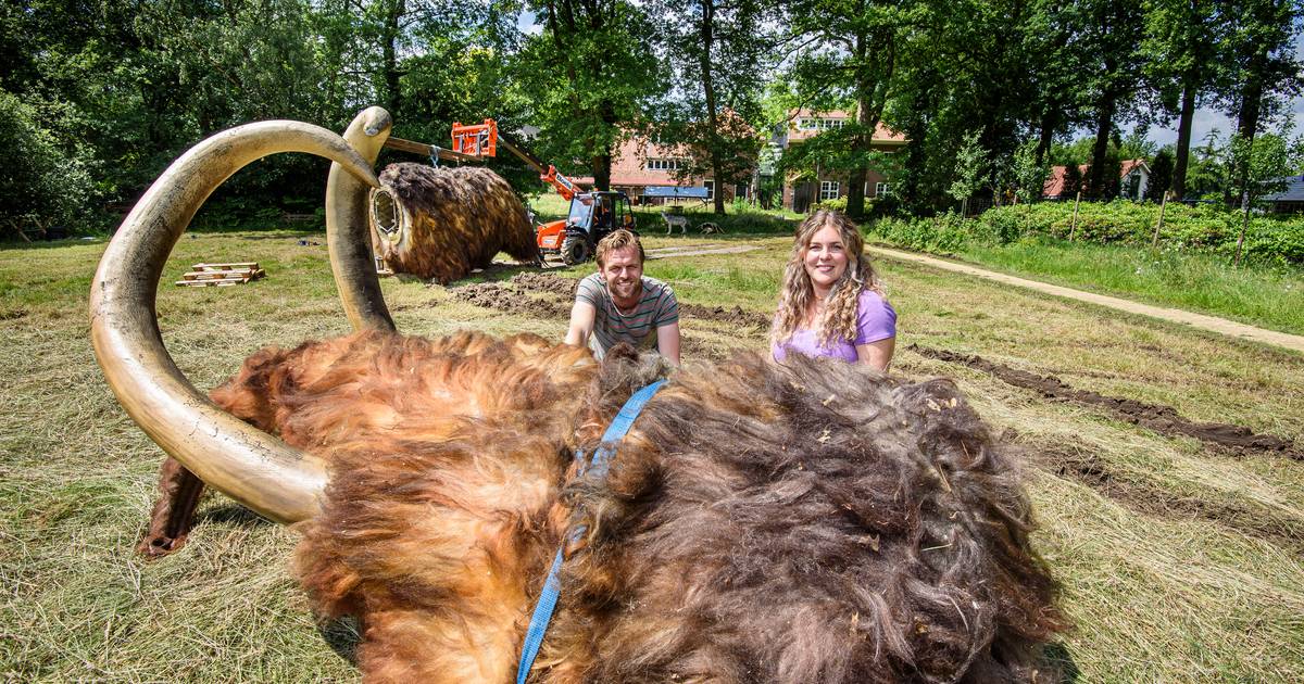 Natura Docet in Denekamp richt zich weer op na zware periode: spectaculaire expositie met ijstijddie