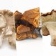 ‘Steeds meer oncologen schrijven mycotherapie voor’: medicinale paddenstoelen worden steeds populairder