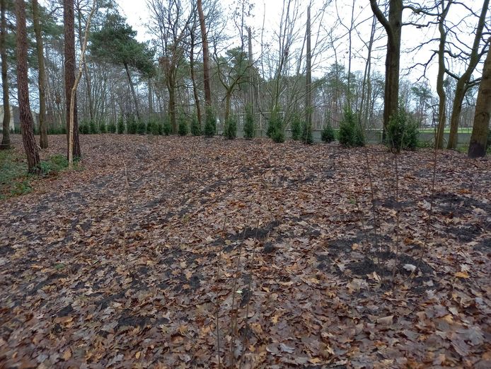 Aan de Raaftuinweg wordt een natuurbegraafplaats aangelegd