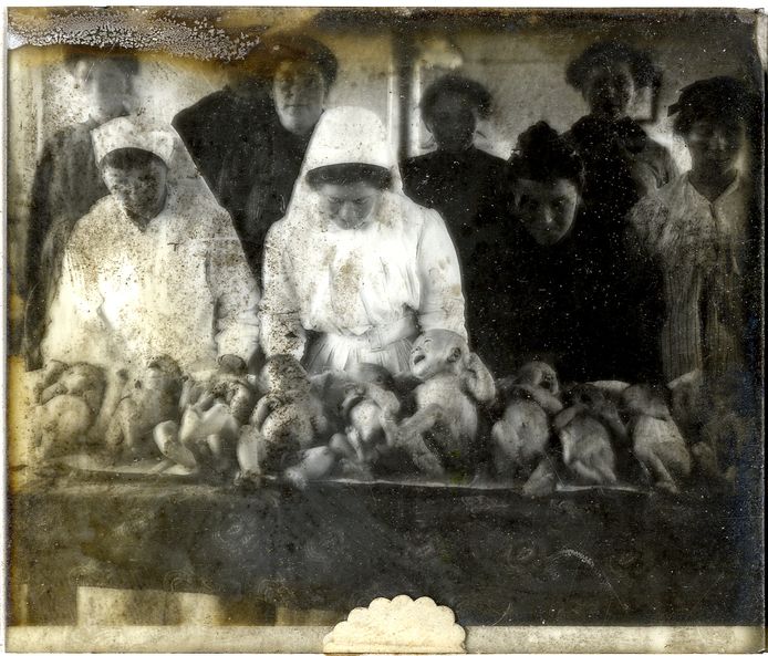 Negen borelingen met zusters en moeders in het moederhuis van Roesbrugge (1916-1919)