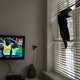 10 situaties waarin je het liefst je kat achter het behang plakt
