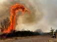 Bosbranden in Spanje en Canada veroorzaakten emissierecords dit voorjaar 