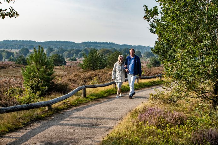 De Sallandse Heuvelrug is zowel bij toeristen als bij inwoners van de regio geliefd als fiets- en wandelgebied.