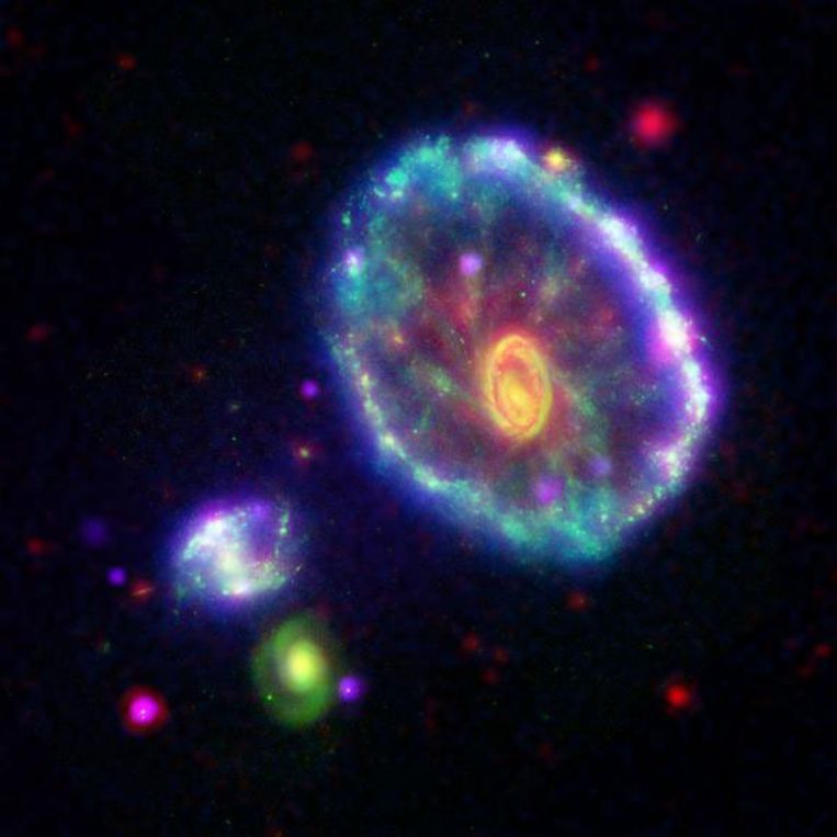 Dit beeld van het Karrewielstelsel laat een regenboog van golflengtes zien. Deze werden waargenomen door NASA's Galex (blauw), Hubble (groen), Spitzer (rood) en Chandra (paars). Beeld NASA