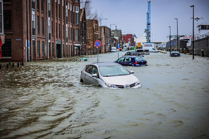 Aan de Koningin Wilhelminahaven in Vlaardingen overstroomden de kades.