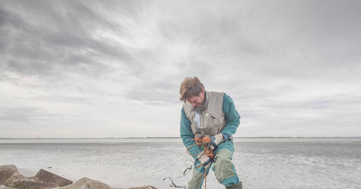 Borselse strandschoonmaak met als pronkstuk een verfomfaaide onderbroek