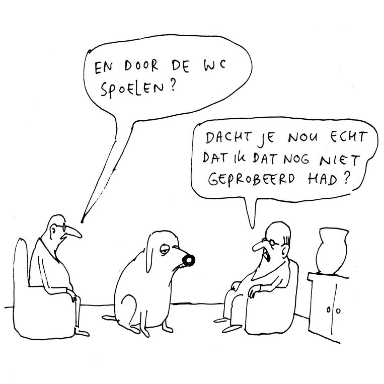 null Beeld Gummbah