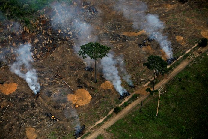 De vernietiging van het Amazonegebied is sterk toegenomen tijdens de coronapandemie.