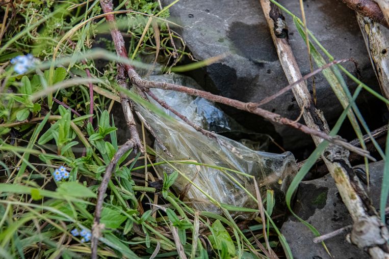 null Beeld Koen Verheijden