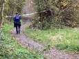 Moeder van dood aangetroffen baby in vijver van Belgisch natuurgebied is 17-jarig meisje