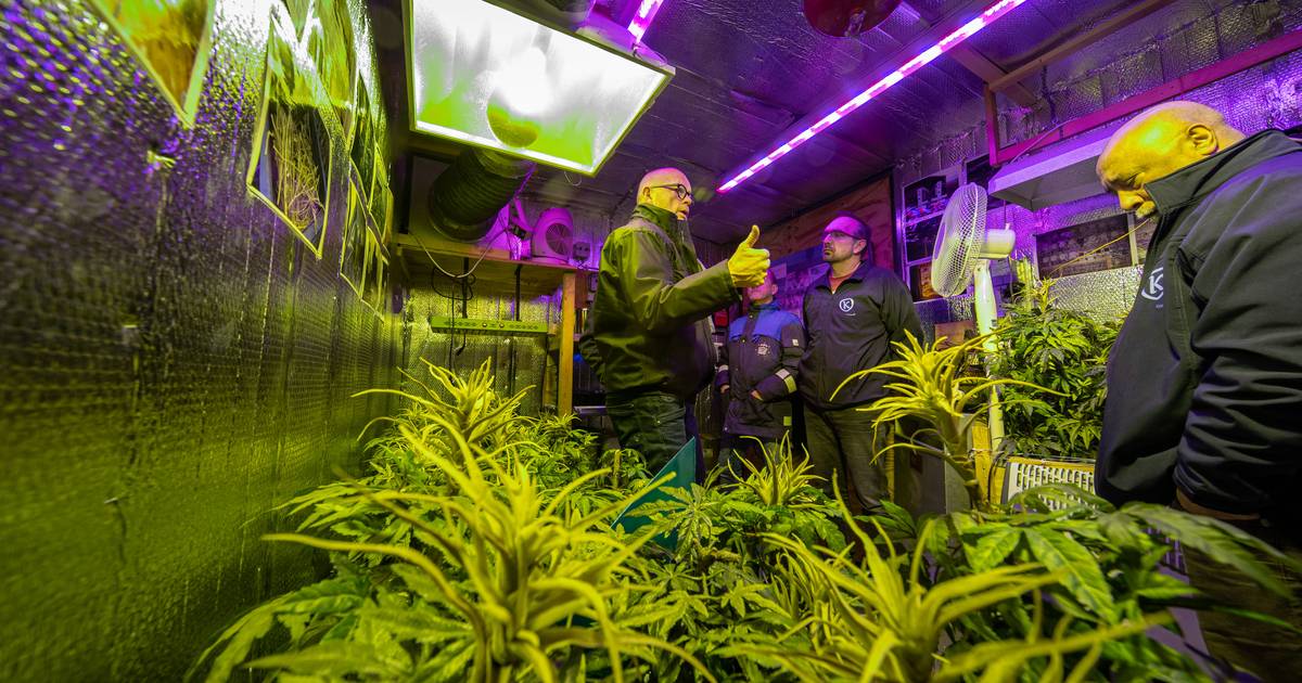 Langstraat Zet Slimmeriken In Tegen Criminelen Als We Blijven Doen Wat We Deden Gaan We Strijd Tegen Ondermijning Niet Winnen Waalwijk Heusden E O Bd Nl