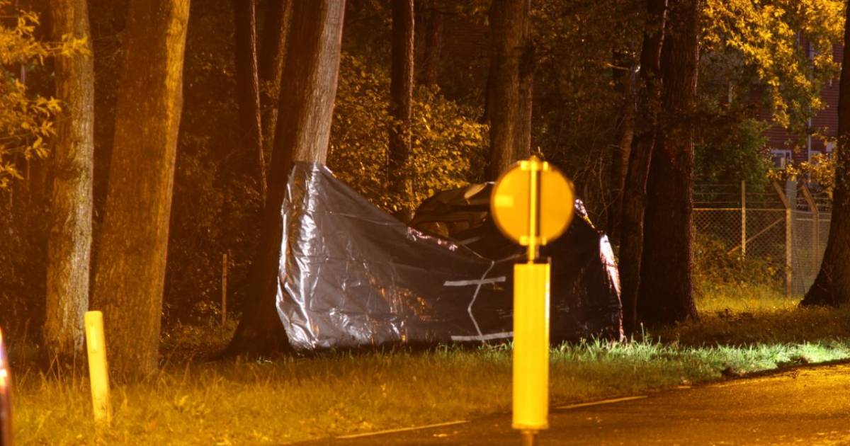 Automobiliste van Urk komt om na botsing tegen boom in Harfsen.
