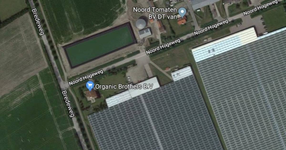 Glastuinbouw Sirjansland dit jaar over op biomassa