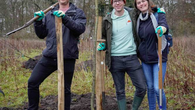 Provincie Overijssel verstrekt subsidie voor bomen planten met buurt en vrienden