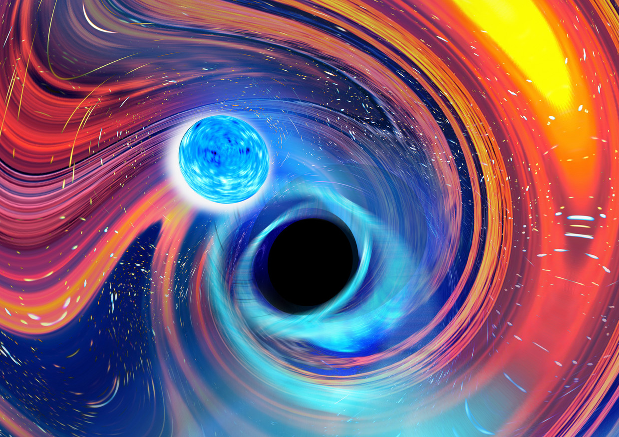 Computertekening van de botsing tussen een neutronenster (links) en een zwart gat (rechts). Het zwarte gat hapt de volledige ster tijdens de botsing in één stuk naar binnen.  Beeld CARL KNOX, OZGRAV - SWINBURNE UNIVERSITY