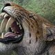 Archeologen identificeren unieke schedel Europese sabeltandtijger
