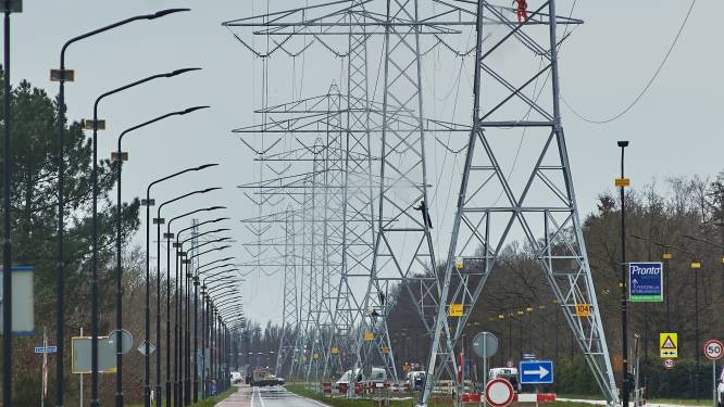 Verfklus van hoog niveau: hoogspanningsmasten Uden opnieuw strak in de lak 