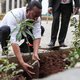 Ethiopië ‘verbetert’ het wereldrecord bomen planten, maar heeft dat wel zin?