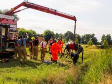 Paard door brandweer uit de sloot gehaald in Zwijndrecht