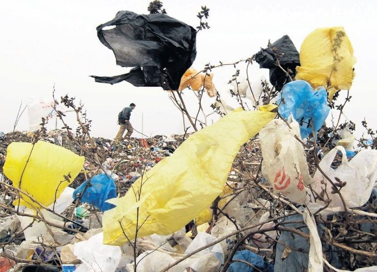 'Onze landschappen zijn het slachtoffer van plastic zakken en ook dieren lijden eronder.' Beeld reuters