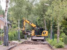 Bomen en stoep ‘vechten’ om ruimte in smalle straat in Baarn: ‘Er is niet één eenvoudige oplossing’