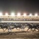 Zweepslag uitgebannen bij paardenraces: ‘Jullie letten alleen maar op die stomme zwepen’