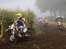 Boa's mogen over de grens achter wildcrossers aan