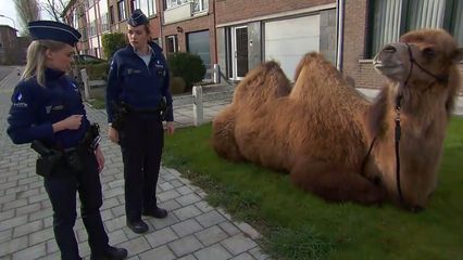 Aflevering 3