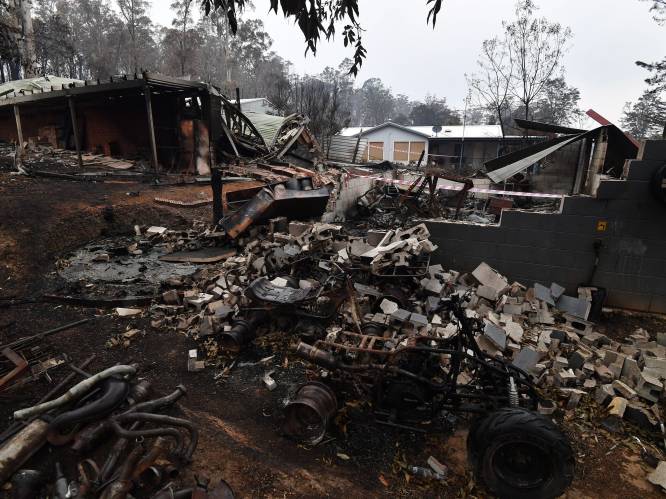 Schade door bosbranden in Australië loopt al op tot 430 miljoen euro