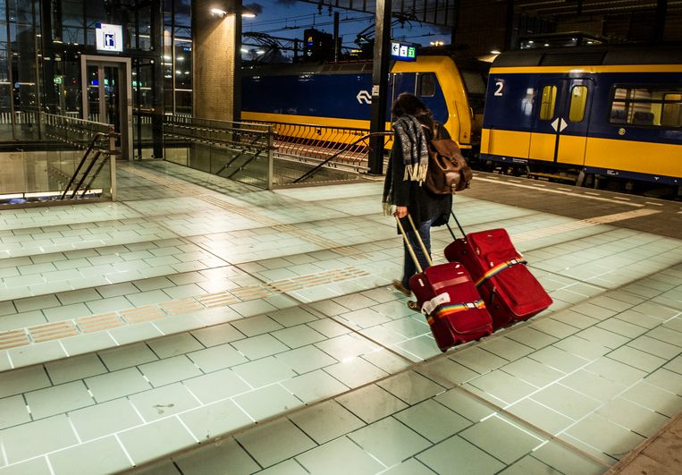 Ter hoogte van de perrons zijn de plafonddelen verlicht, waardoor passanten niet het idee hebben dat ze zich een paar meter onder de grond bevinden. Beeld Koen Verheijden