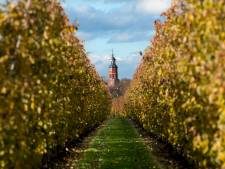 Sloop van de Burense kerktorens mag niet eens