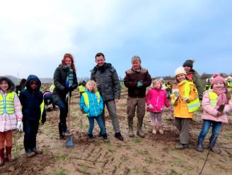 Leerlingen en Kortrijkzanen planten 12 hectare nieuw Preshoekbos in drie dagen tijd