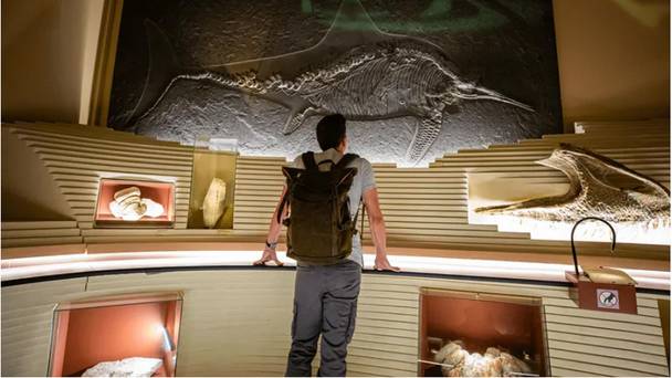 The Dinosaur Hunter