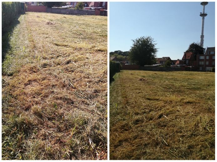 Buurtbewoners vinden het onrespectvol dat de bloemenweide nu plots gemaaid is.