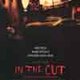 Review: In the Cut